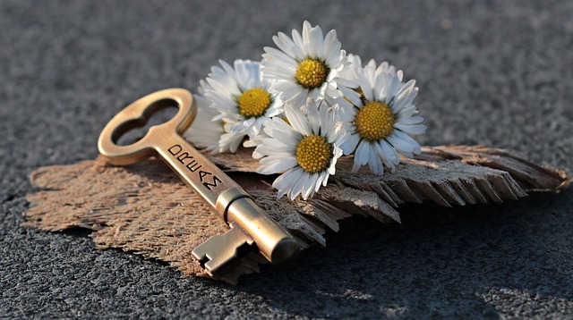 Description des fleurs de marguerite