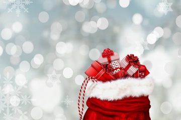 Idées de sacs de cadeaux pour les adultes