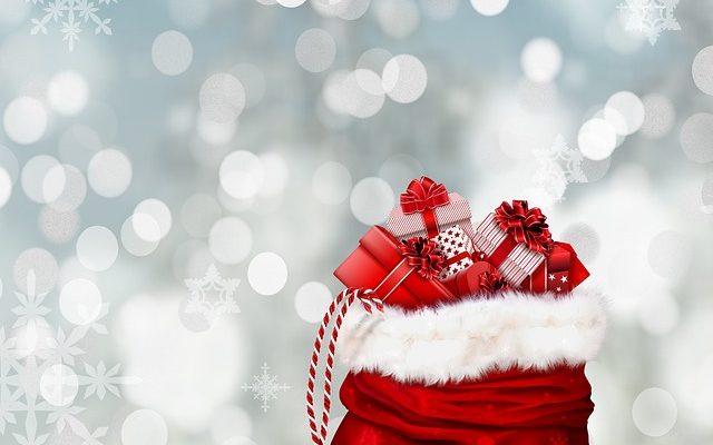 Idées de sacs de cadeaux pour les adultes