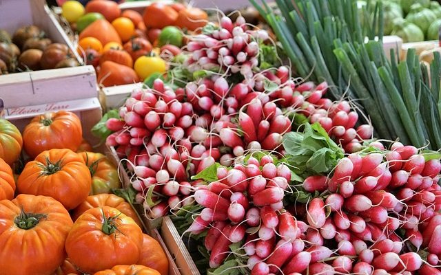 Quels animaux mangent des plantes de concombre ?