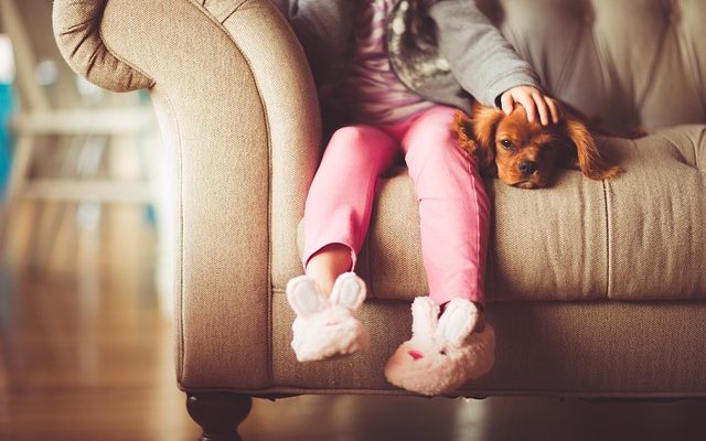 Signes d'une grossesse tardive d'une Rottweiler du Labrador