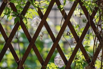 Comment construire une pergola coût