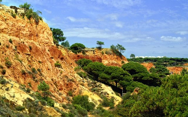 Comment cuire un rôti de côte de boeuf dans un sac de cuisson