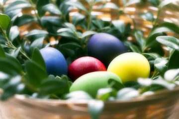 Comment faire des gâteaux d'anniversaire pour les enfants vous-même