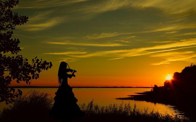 Comment réparer une toilette sans chasse d'eau