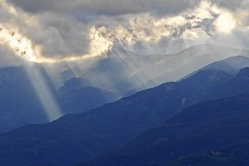 Enlèvement des moisissures et des moisissures sur les solives de plancher