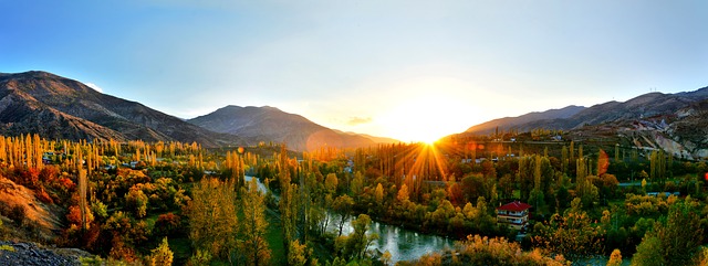 Idées pour comment faire du paysage avec des cailloux