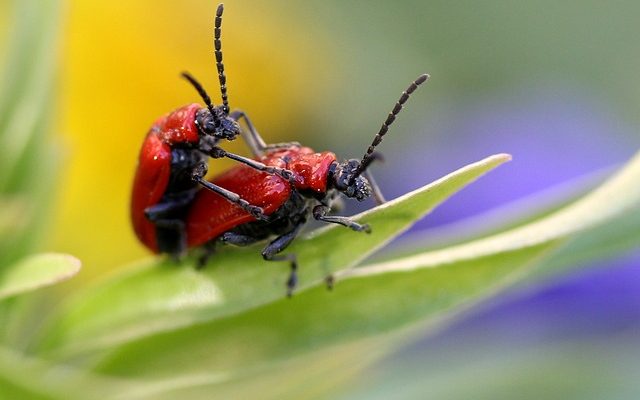 Symptômes d'une mauvaise extrémité de tige de cravate