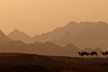 Climat et météo du désert