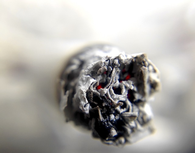 Combien de temps votre cerveau peutil survivre sans oxygène ? Fiche pratique sur Lavise.fr
