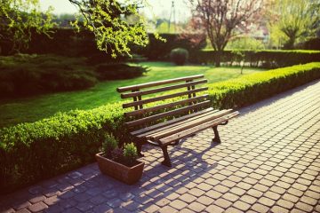 Comment tailler le troène