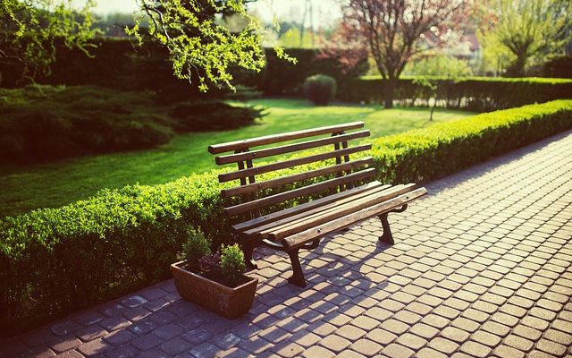 Comment tailler le troène