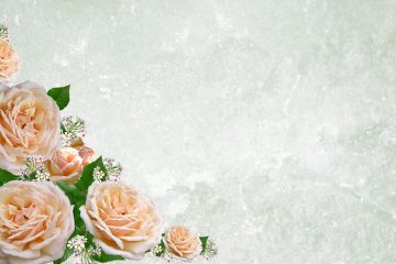 Que faut-il écrire sur les fleurs pour un enterrement ?