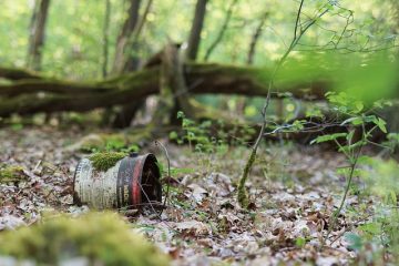 Comment construire des boîtes à papillons