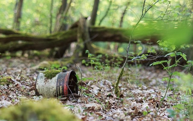 Comment construire des boîtes à papillons