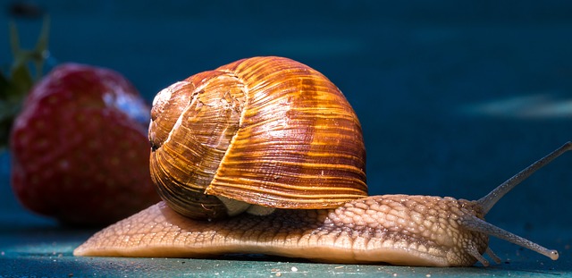 Comment décongestionner la pression sinusale la plus forte