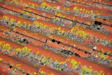 Comment enlever le lichen des tuiles de toit en terre cuite