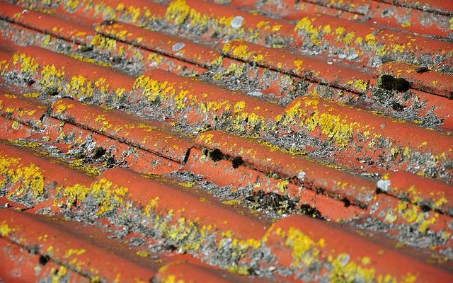 Comment enlever le lichen des tuiles de toit en terre cuite