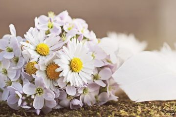 Comment faire un arrangement floral pour une arche nuptiale