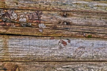 Comment peindre les planchers de bois blanc