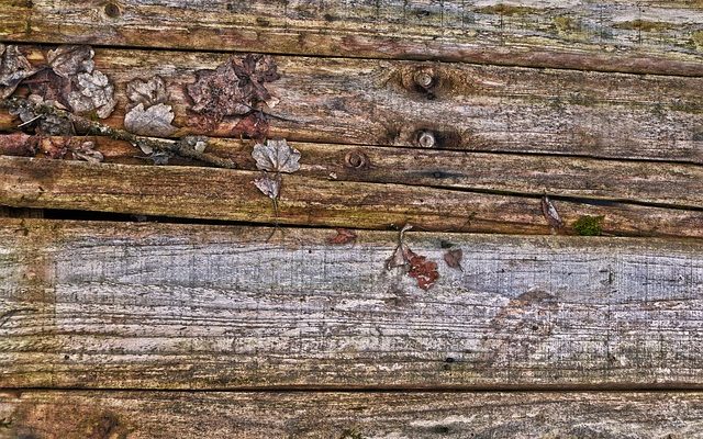 Comment peindre les planchers de bois blanc