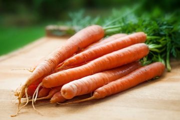 Cycle de vie de la carotte
