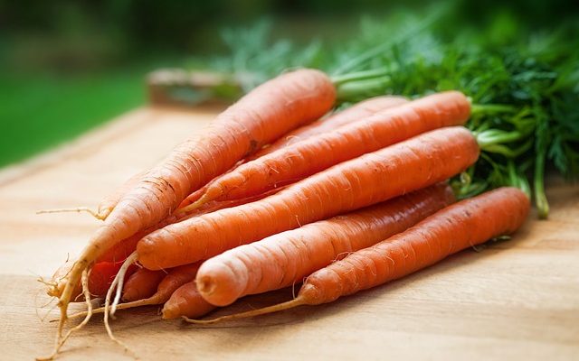 Cycle de vie de la carotte