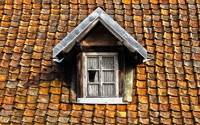 Maison en bois contre maison en brique