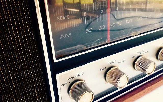 Mode d'emploi pour Denon Tu-260L