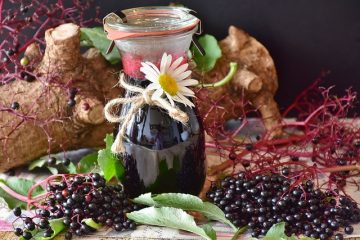 Redbush thé bienfaits pour la santé