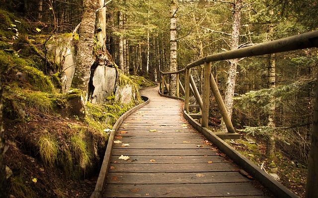 Comment construire des marches en bois pour l'extérieur