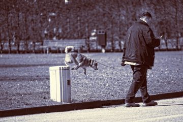 Comment convertir les pieds carrés en pieds linéaires