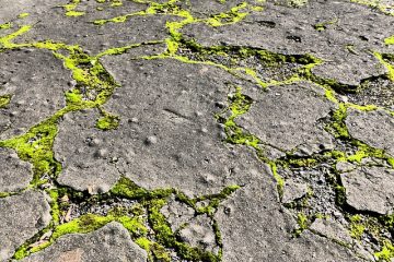 Comment enlever la mousse du pavage en blocs