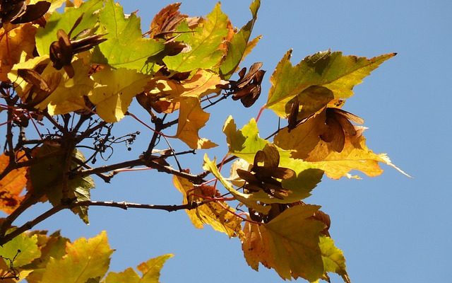 Comment faire des courtepointes à l'aide de panneaux de tissu