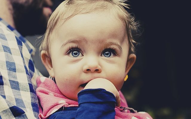 Comment faire des pots canopes avec des enfants