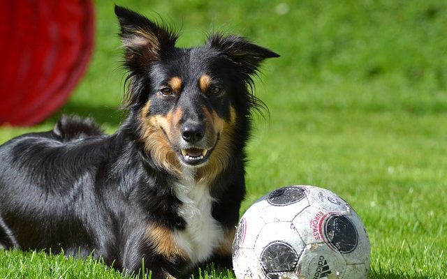 Comment faire une boule avec de la colle blanche