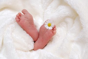 Comment faire une copie vierge d'un certificat de naissance