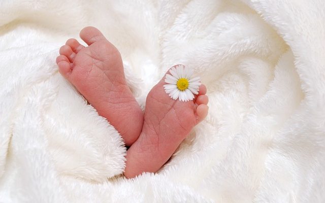 Comment faire une copie vierge d'un certificat de naissance