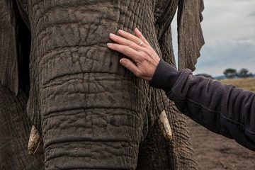 Comment ouvrir une porte dans un mur de briques