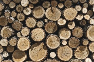 Idées d'artisanat du bois