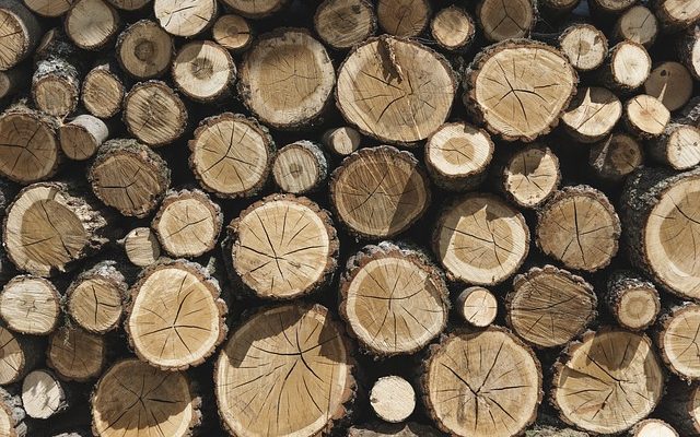 Idées d'artisanat du bois