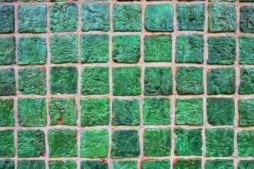 La meilleure façon de mettre à jour les carreaux de céramique dans la salle de bains sans enlever les carreaux.