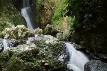 Comment construire un étang de jardin et une chute d'eau sur une colline ?