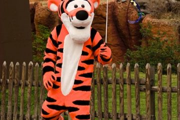 Comment faire votre propre costume Disney Movie Costume Disney à la maison