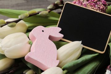 Fleurs comestibles pour lapins