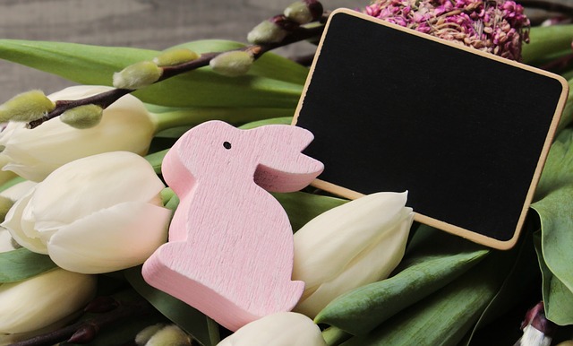 Fleurs comestibles pour lapins