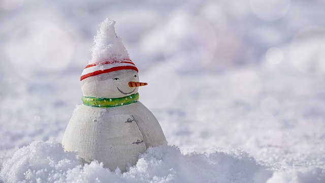 Idées de costumes de flocons de neige