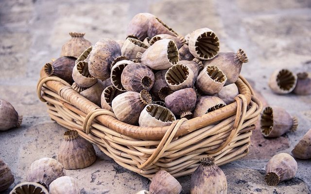 Le type de viande utilisée lors des soirées fondue