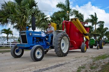 L'histoire de la Ford FW-60