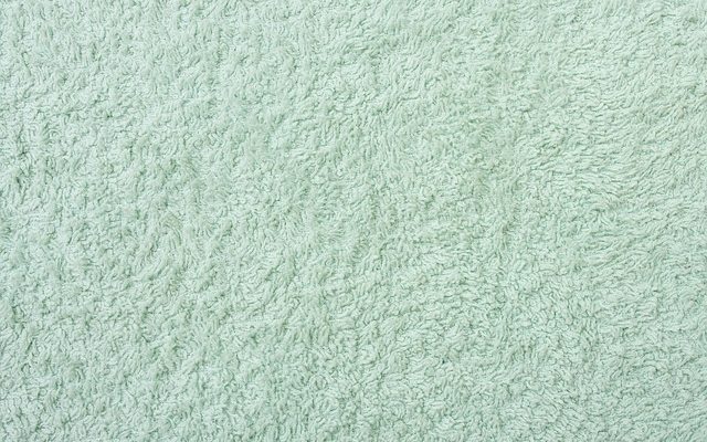 Quelles sont les causes des anthrènes des tapis ?
